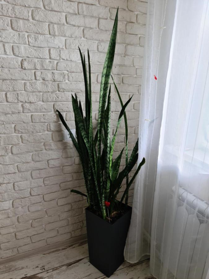 Prime Apartments Grodno Luaran gambar