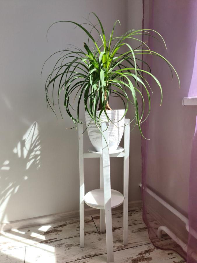 Prime Apartments Grodno Luaran gambar